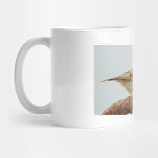 Goldcrest Mug